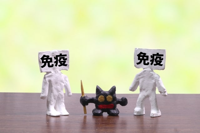 免疫
